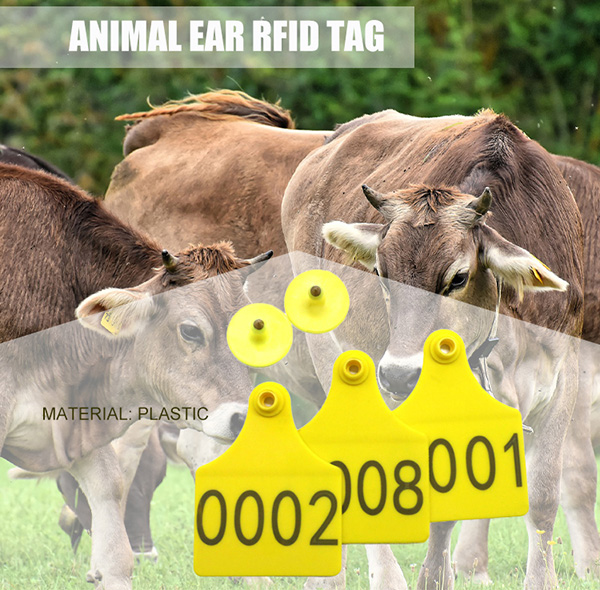 Animal-RFID-TAG_01